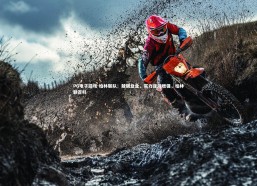 PG电子游戏-柏林联队：兢兢业业，实力逐渐增强，柏林联百科