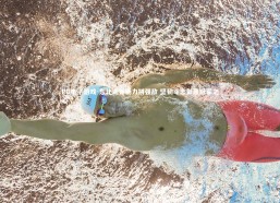 PG电子游戏-东北虎客场力拼强敌 坚韧斗志彰显冠军之心